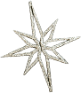 Snowflake Star