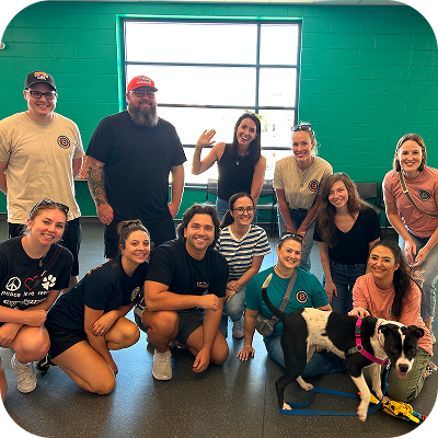 Brunner employees and a dog posing for a photo in a green room