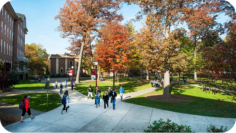 A picture of the IUP Campus