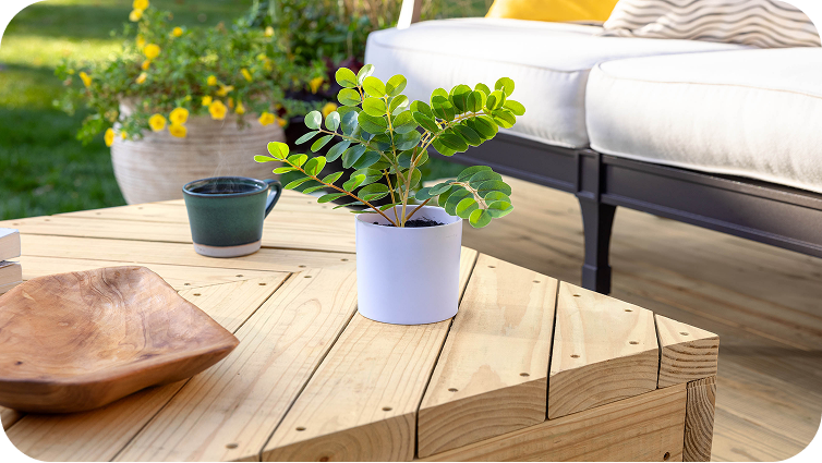 Outside deck with a love seat in the background with a close up of a coffee table with a plant on it