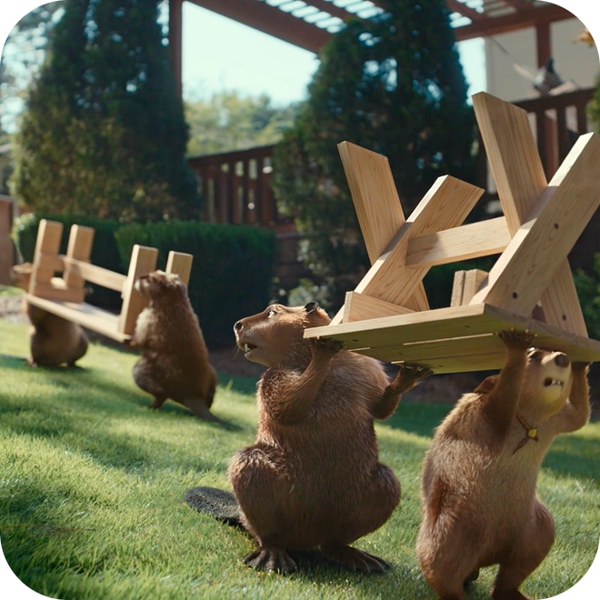 Beavers stealing some picnic benches