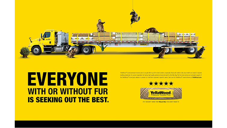 Seven Beavers unloading pressure treated lumber from an eighteen wheeler with a flat bed. With text that says, Everyone with or without Fur is Seeking out the Best