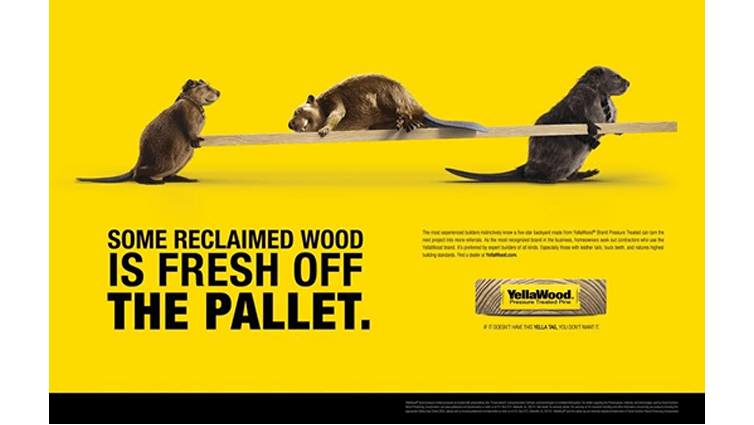 Two Beavers carrying a piece of pressure treated lumber with a beaver laying on top. With text that says, Some Reclaimed Wood is Fresh Off The Pallet.