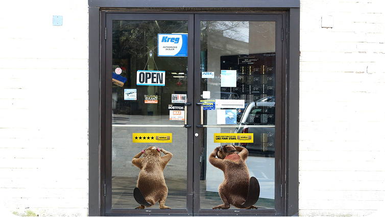 Two Beavers looking inside of glass doors